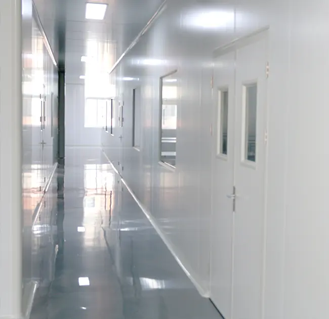 Pabrik Sikat Pembersih Endoskop Profesional kanthi Kamar Bersih Modern Standar GMP